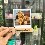 Base Madera Personalizada Foto
